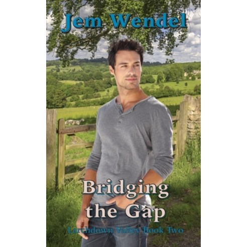 (영문도서) Bridging the Gap Paperback, Larking about Press, English, 9781916758056