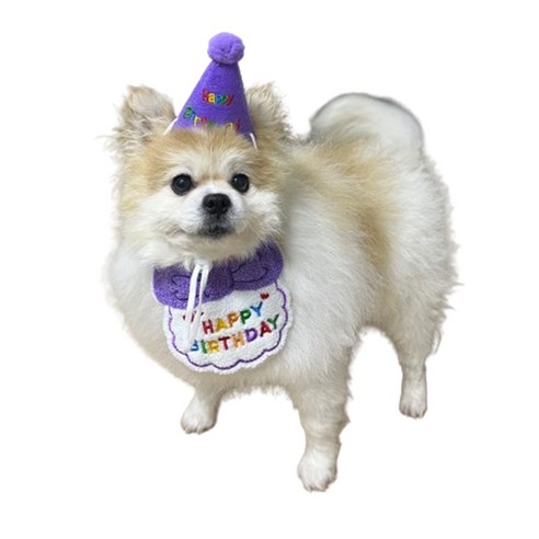 강아지 고양이 생일축하 스카프+꼬깔모자 세트 생일파티세트, 퍼플, 1개