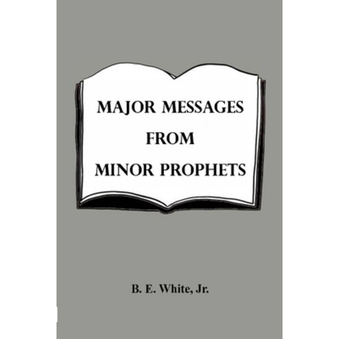 (영문도서) Major Messages from Minor Prophets Paperback, Lulu.com, English, 9781794820630
