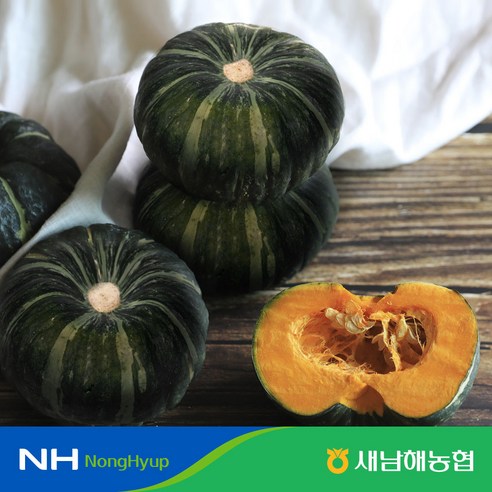 [새남해농협] 남해 미니 밤호박 10kg, 1개