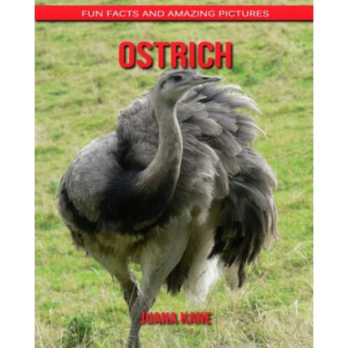 Ostrich: Fun Facts and Amazing Pictures Paperback, Independently Published