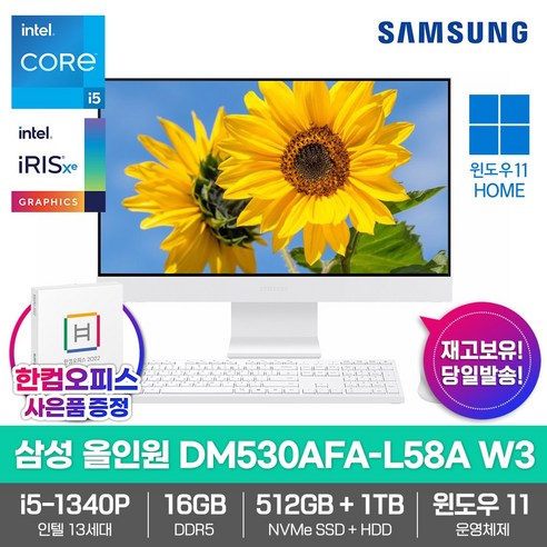 삼성전자 일체형PC 올인원 DM530AFA-L58A W3 16GB/SSD512GB/HDD1TB/13세대i5/Win11/한컴오피스증정 고성능 업무용 데스크탑, 16GB