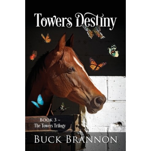 (영문도서) Towers Destiny: Book 3 The Towers Trilogy Paperback, Outskirts Press, English, 9781977245564