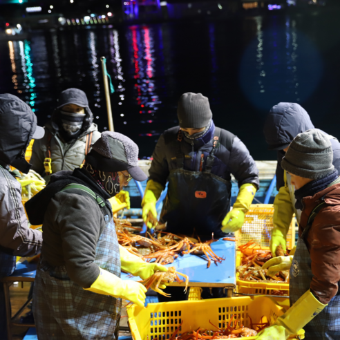 신나푸드 선주직송 박달홍게 당일조업 무료자숙 실속형 고급형 정품 홍게 3kg 할인가격