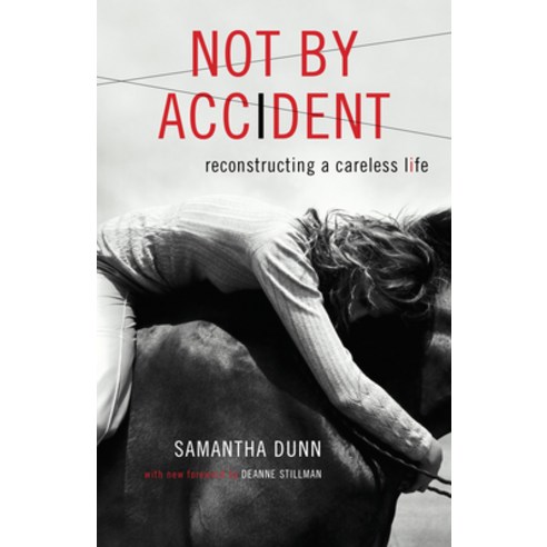(영문도서) Not by Accident Paperback, She Writes Press, English, 9781631528323