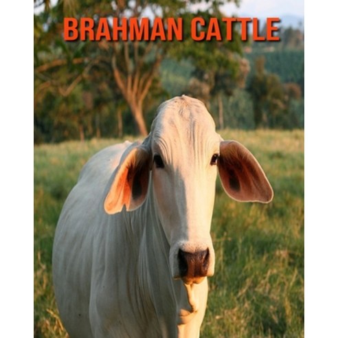 Brahman Cattle: Amazing Facts & Pictures Paperback, Independently Published, English, 9798746214904