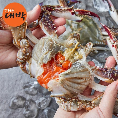 봄 꽃게 온라인 구매, 꼼꼼한 확인으로 실패를 줄이자!