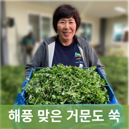 [신진농산] 여수 거문도 노지에서 키운 쑥, 여수거문도쑥 1kg, 1박스, 해풍 생쑥 1kg