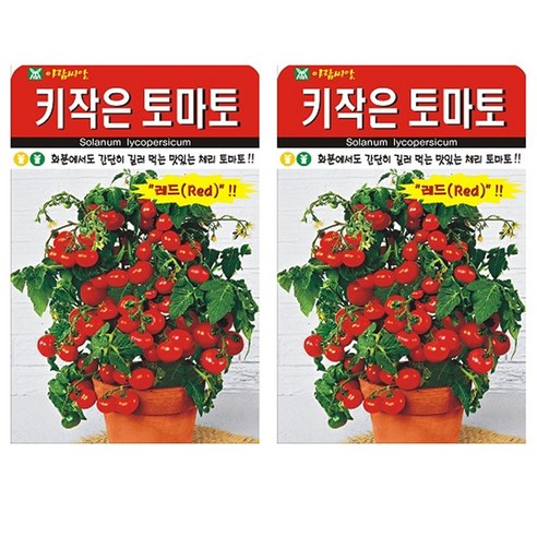 키작은 토마토 씨앗, 2개