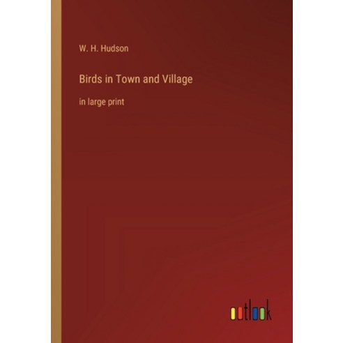 (영문도서) Birds in Town and Village: in large print Paperback, Outlook Verlag, English, 9783368365189