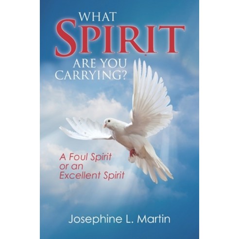 (영문도서) What Spirit are You Carrying? A Foul Spirit or an Excellent Spirit Paperback, Independently Published, English, 9798393329150