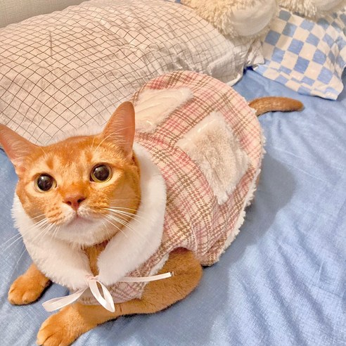 도그월드 강아지 고양이 겨울옷 모직코트 머플러 세트, 모직코트 핑크