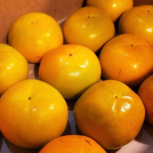 고당도 프리미엄 제철 태추 부유 창원 단감의 매력 태추단감