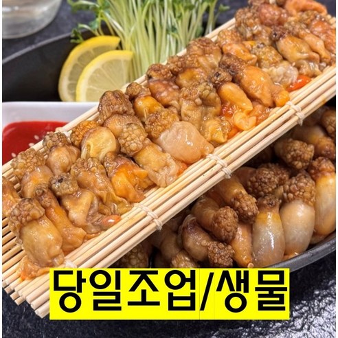 [산지직송] 제철판다 국산 진동 미더덕 생물 손질 참미더덕 오만둥이 - 해물모듬/기타 | 쿠팡