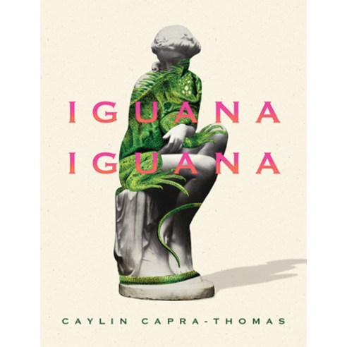 (영문도서) Iguana Iguana Paperback, Deep Vellum Publishing, English, 9781646051779