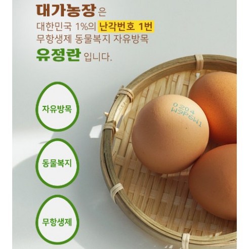 자연방사 무항생제 유정란