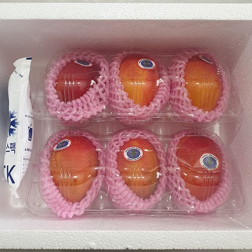 고당도 애플망고로 사랑하는 이를 감동시키는 달콤한 선물