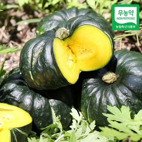 함평천지 [산지직송] 함평 정대성님의 무농약 햇 미니단호박(밤호박) 1kg, 1개