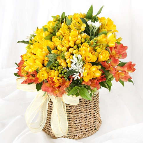 프리지아 꽃바구니로 특별한 날을 더욱 특별하게