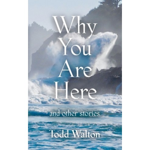 (영문도서) Why You Are Here: and other stories Paperback, Booklocker.com, English, 9798885310888