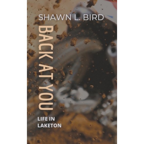 (영문도서) Back at You Paperback, Shawn Bird, English, 9781989642313