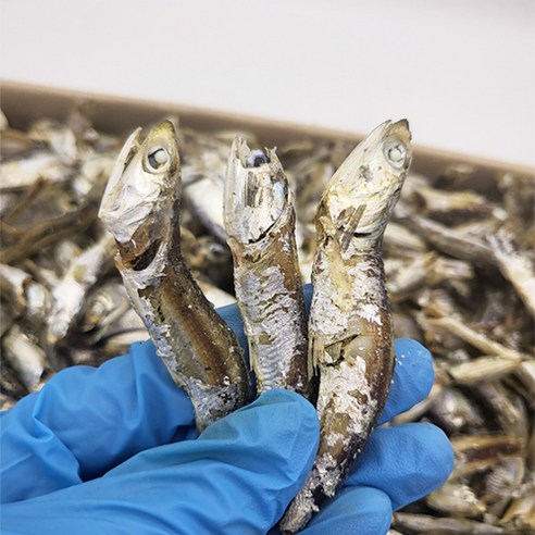 통영 남해 국물멸치 다시멸치 육수용 업소용 대멸치 1.5kg