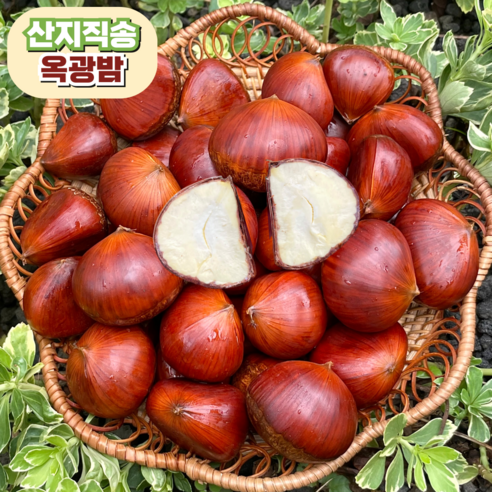 [고품질] 공주 옥광밤 산지직송, 1개, 2kg