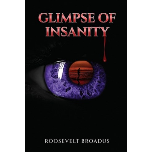 (영문도서) Glimpse of Insanity Paperback, Midnight Express Books, English, 9780692353301