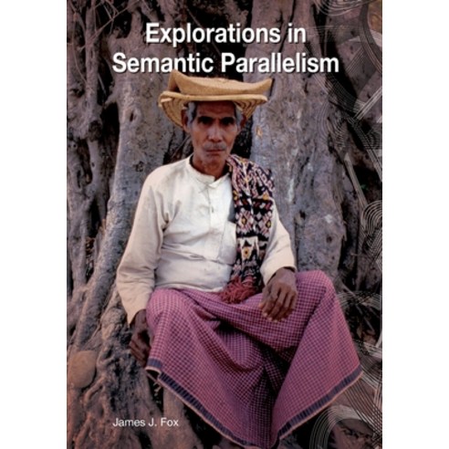(영문도서) Explorations in Semantic Parallelism Paperback, Anu Press, English, 9781922144690
