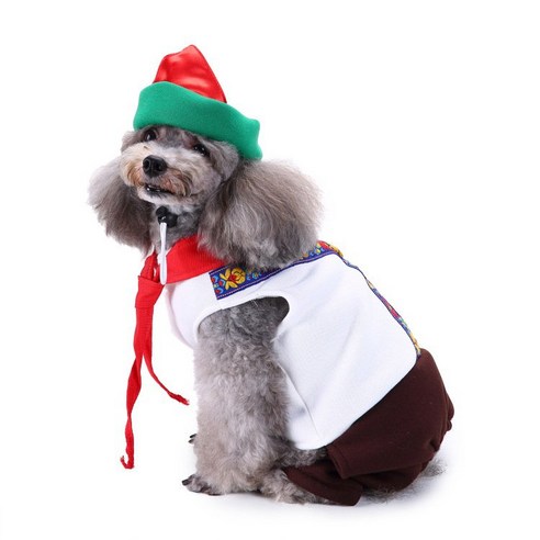 애완견 용품 애완 동물 크리스마스 옷 창의 할로윈 크리스마스 애완 동물 옷 웃긴 개 옷, SDZ59 서비스 남성
