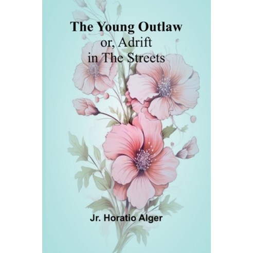 (영문도서) The Young Outlaw; or Adrift in the Streets Paperback, Alpha Edition, English, 9789362996053