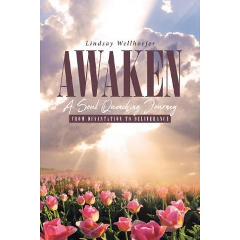 (영문도서) Awaken: A Soul Quenching Journey: From Devastation to Deliverance Paperback, Christian Faith, English, 9781644167984