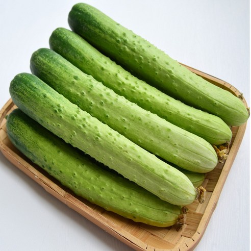 수확 아삭아삭 수분 가득 백오이 백다다기 3kg 5kg 10kg, 1박스, 백오이 3kg
