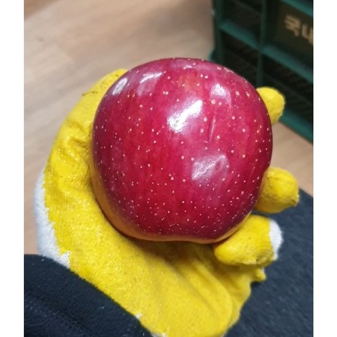 껍질째 먹는 꿀사과, 맛 있으면 좋아해!