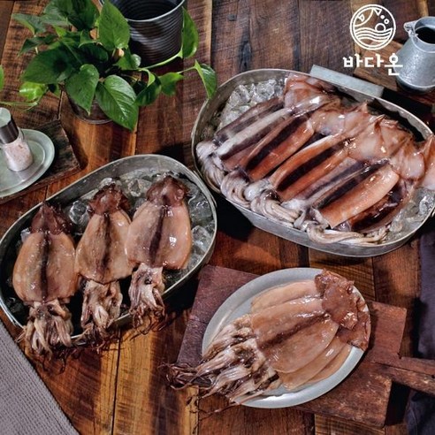 구룡포 반건조 오징어 50~60g x 24마리 (팩당 3마리 / 원양산), 1팩 구룡포오징어 구룡포 반건조 오징어 50~60g x 24마리 (팩당 3마리 / 원양산), 1팩 구룡포오징어