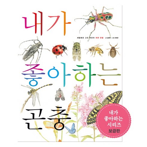 내가 좋아하는 곤충, 호박꽃