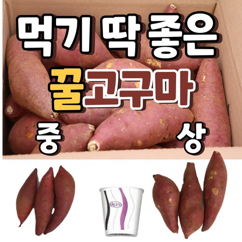 영양가 있고 맛있는 24년 햇 꿀밤고구마로 건강과 즐거움을 만끽하세요!