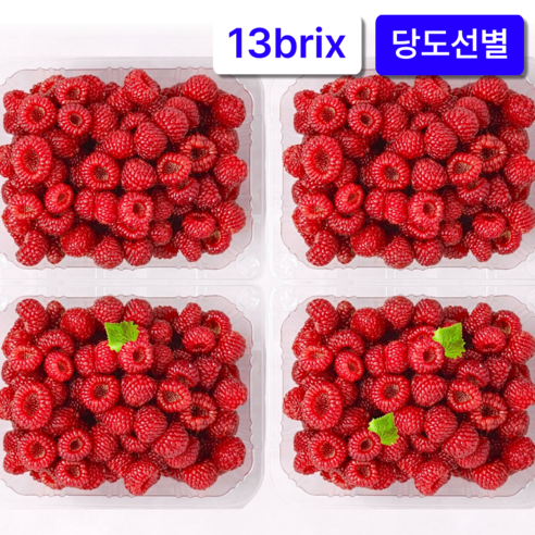 당도선별 제철과일 산딸기 생과