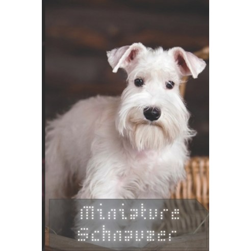 (영문도서) Miniature Schnauzer: Complete breed guide Paperback, Independently Published, English, 9798525116344