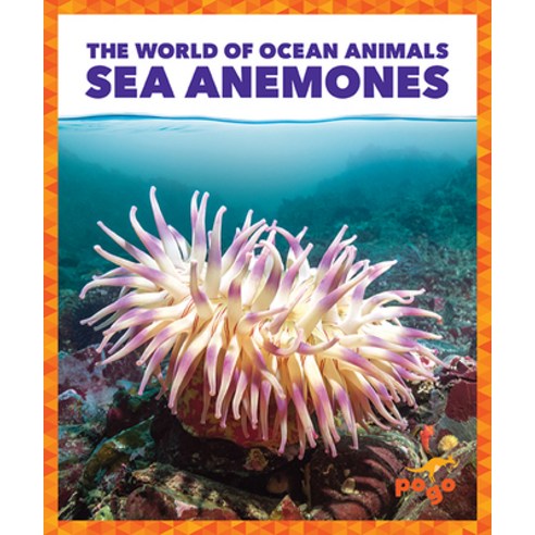 (영문도서) Sea Anemones Paperback, Pogo Books, English, 9781636902920