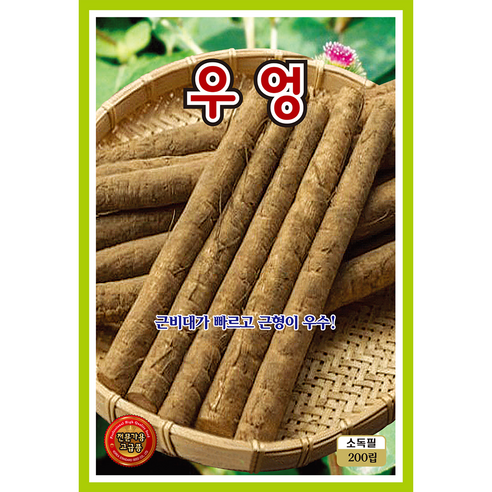 근채류 씨앗 모음 레드볼 그린볼 콜라비 비트 우엉 종자, 2개