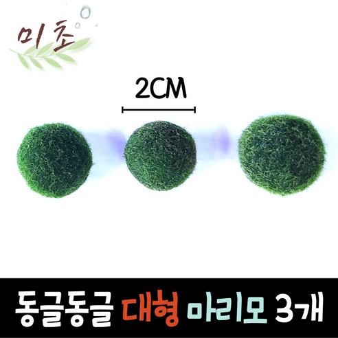 [특가] 대형 마리모 3개 세트 – 수경식물, 새우 수초, 모스볼 포함
