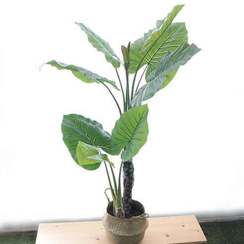 다우에프앤지 조화 대형 나무 알로카시아 120cm, 1개