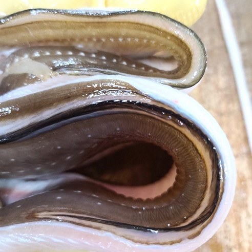 산지직송 통영 100% 자연산 장어 혼합바다장어 1kg 3-4미쯤 머리 뼈 순한맛소스 매운맛소스, 1개