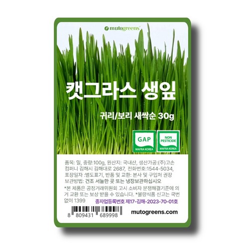 뮤토그리스 싱싱한 캣그라스 생잎, 1개, 30g, 보리