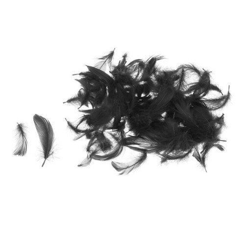 깃털 100pcs 6-8 Cm 라이트 컬러 웨딩 장식 깃털 의류, 블랙
