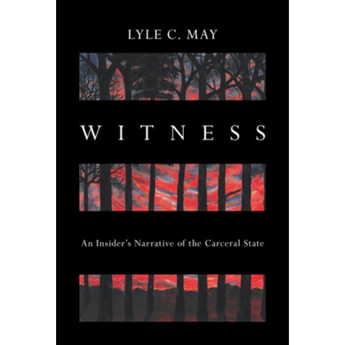 (영문도서) Witness: An Insider''s Narrative of the Carceral State Paperback, Haymarket Books, English, 9781642599718