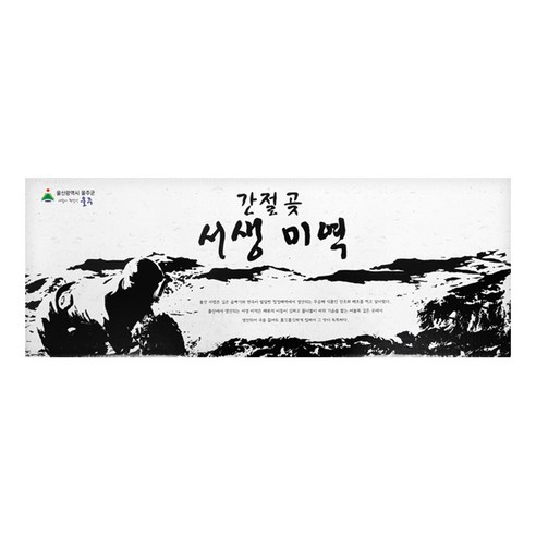 국내산 산모미역 반손 2023년 햇미역, 1개 기장산모미역 국내산 산모미역 반손 2023년 햇미역, 1개 기장산모미역