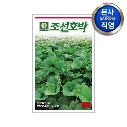 한국산 호박 씨앗 30개 세트. 호박잎 전용 과채류 재배 및 수확을 위한 전용 파종씨 종자 1개. 한국산 호박 씨앗 30개 세트. 호박잎 전용 과채류 재배 및 수확을 위한 전용 파종씨 종자 1개.