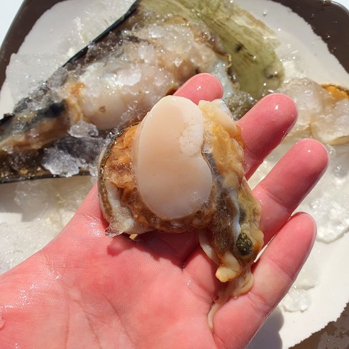 간편한 홈파티, 국내산 생물 키조개로 즐기세요!